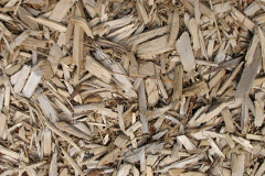 biomass boilers Haccombe